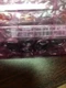 SATO **ORIGINAL** KPW-112-8TBB4-SKW Printhead 203DPI NEW SEALED 