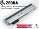 Zebra 170Xi3/170PAX4 300 dpi Compatible Printhead (G46500-1M)