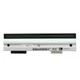 Genuine New Printhead For Zebra 170Xi4 170XiIV Thermal Printer 305dpi P1004237