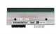 NEW One Zebra 140XI4 203dpi Compatible Printhead P1004234