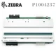 Original Print Head For Zebra 170Xi4 170XilV Thermal Printer 300dpi P1004237