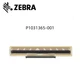 Zebra P1031365-001 Printhead for QLN320 Mobile Printer 203dpi P1031365-001