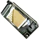 F186000 Print Head Printhead Fits For Epson JV33 R2880 1604 9880C 1614 R2000