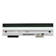 New Genuine Printhead For Zebra ZE500-6 Thermal Printer 300dpi P1004237