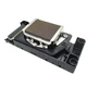 Print head F158000 F158010 G5000 Printhead fits for epson R1800 1800 R2400